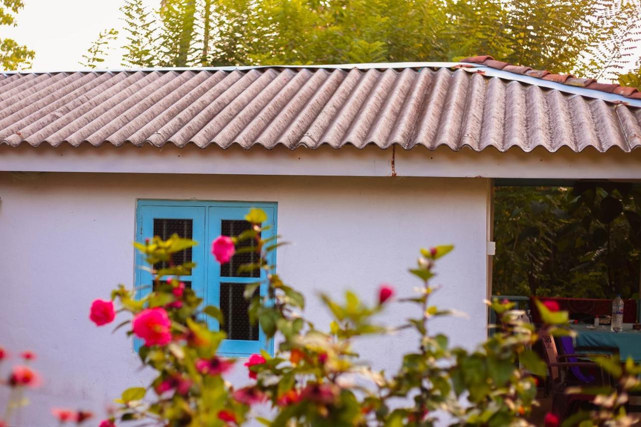 Tehan Homestay Dikwella Dış mekan fotoğraf