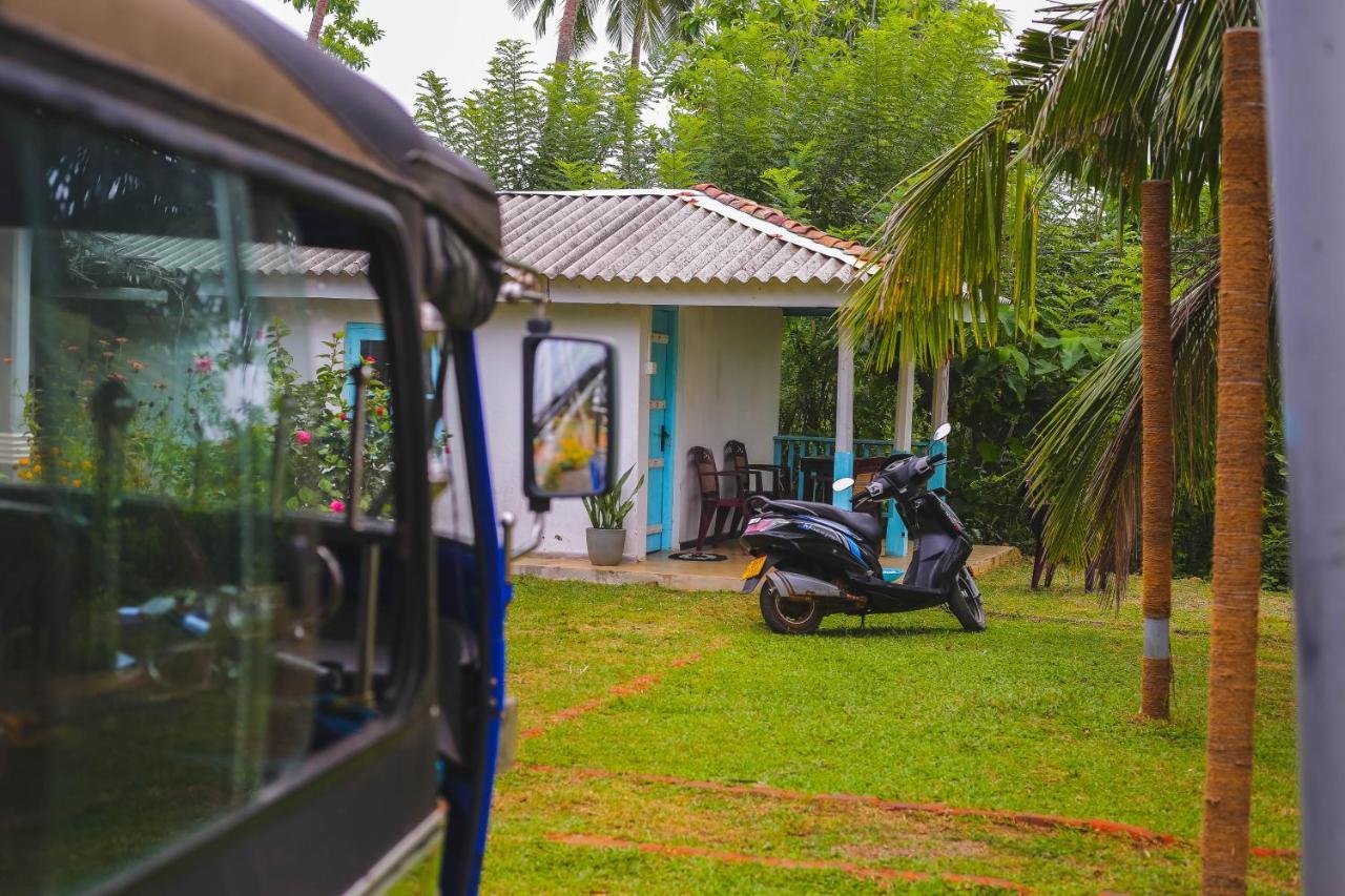 Tehan Homestay Dikwella Dış mekan fotoğraf