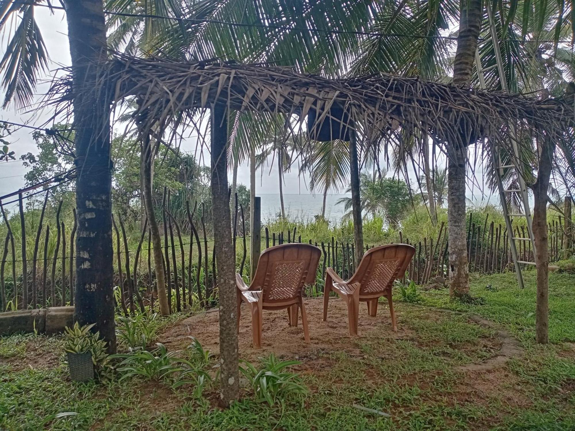 Tehan Homestay Dikwella Dış mekan fotoğraf