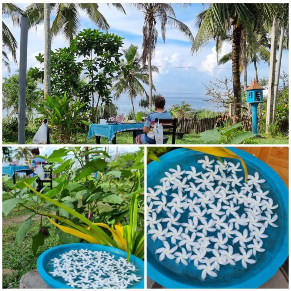 Tehan Homestay Dikwella Oda fotoğraf